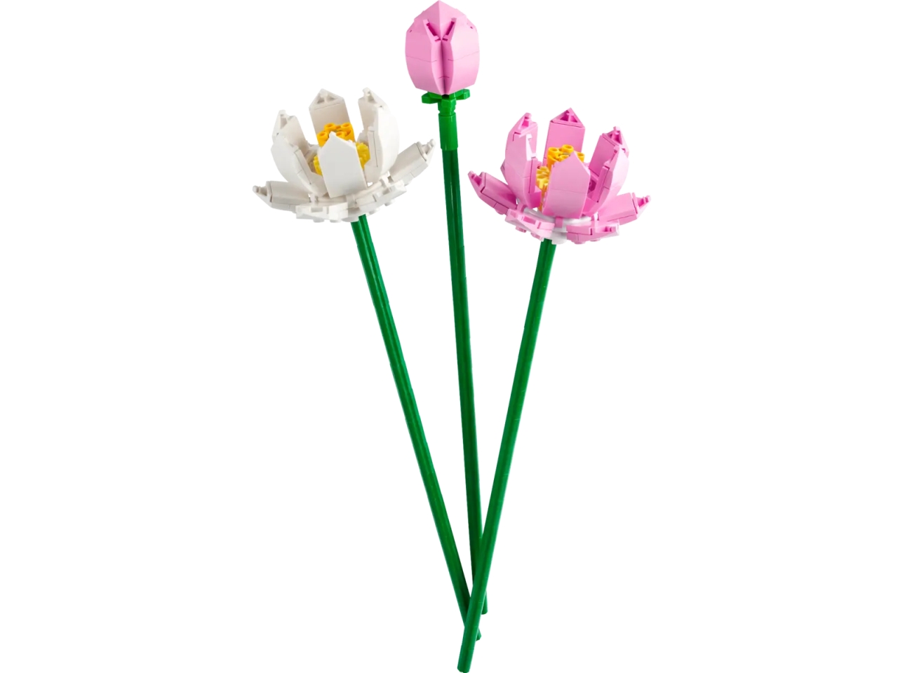 LEGO BOTANICALS FIORI DI LOTO 40647