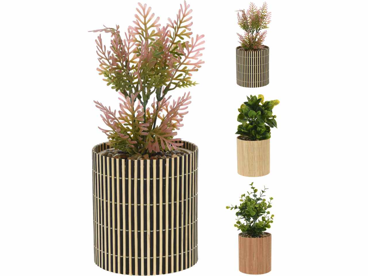 VASO BAMBU C/PIANTA 10x26cm HZ1952410 VASO BAMBU C/PIANTA 10x26cm HZ1952410