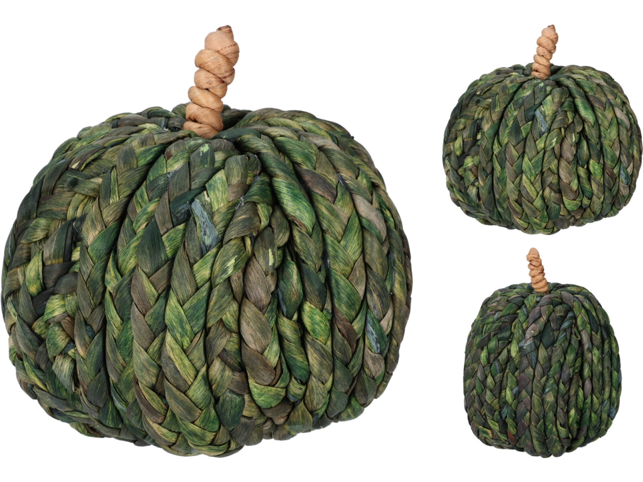 ZUCCA VERDE 15CM 2 ASS. YZB008540