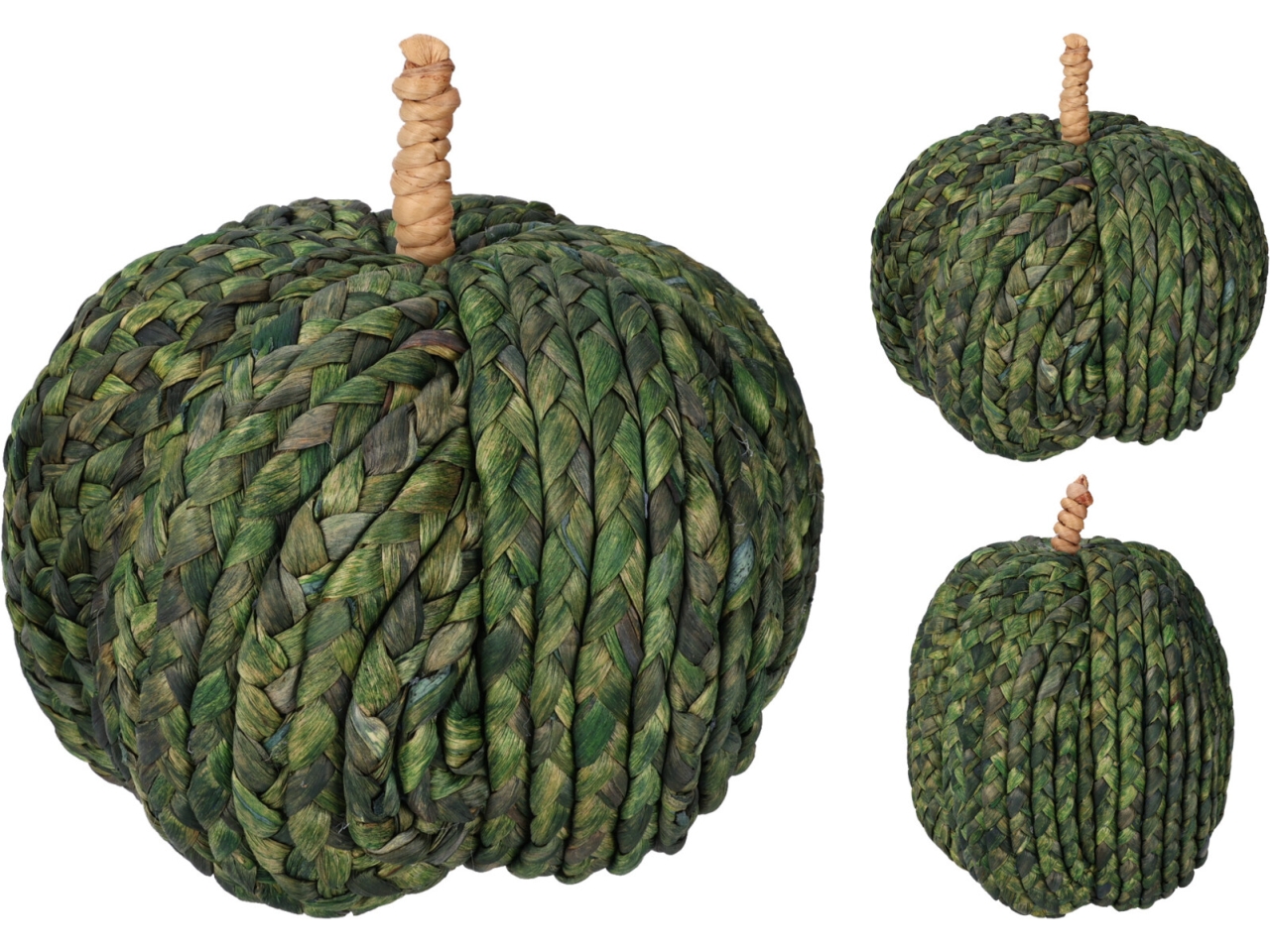ZUCCA VERDE 20CM 2 ASS. YZB008570