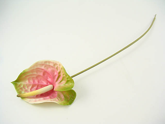 FIORE ANTHURIUM 70CM ROSA A02258