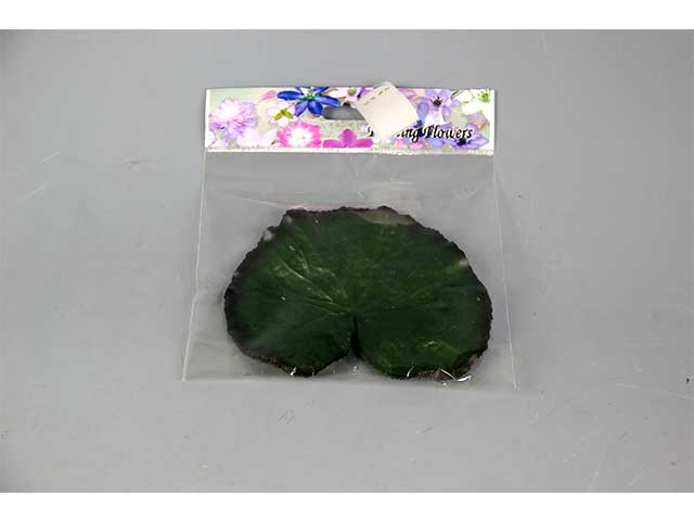 FOGLIE NINFEE A11333