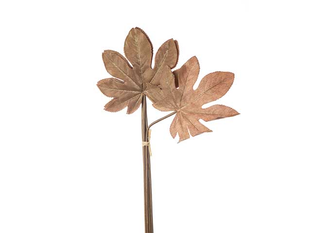 ARALIA 6FOGLIE GLAMOUR MAUVE N23862