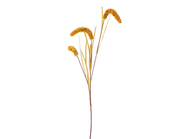 SPIGA ARANCIO 93cm A24045 SPIGA ARANCIO 93cm A24045