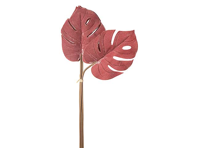 MAZZO FILODENDRO 6FOGLIE MAUVE N22802 $