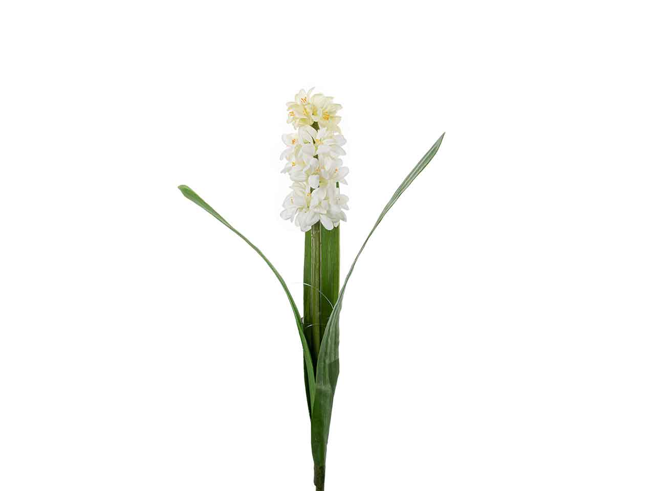 GIACINTO SINGOLO 45cm CREMA A26402$ GIACINTO SINGOLO 45cm CREMA A26402$