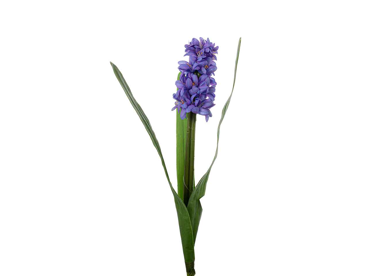 GIACINTO SINGOLO 45cm VIOLA A26402$ GIACINTO SINGOLO 45cm VIOLA A26402$