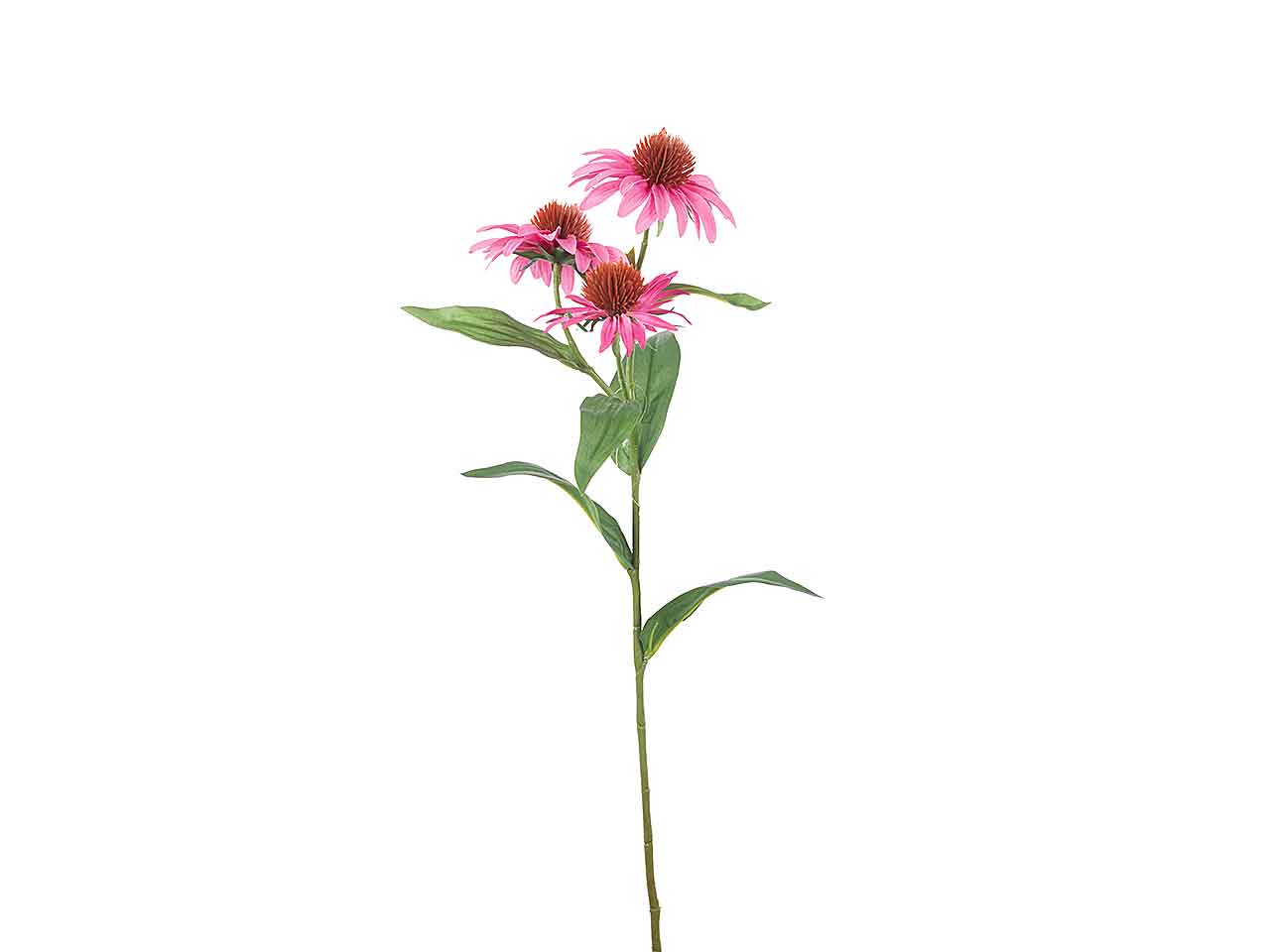 TRALCIO DI RUDBECKIA 65cm ROSA A26411