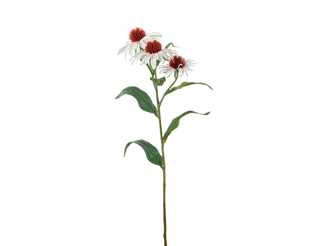 TRALCIO DI RUDBECKIA 65cm CREMA A26411