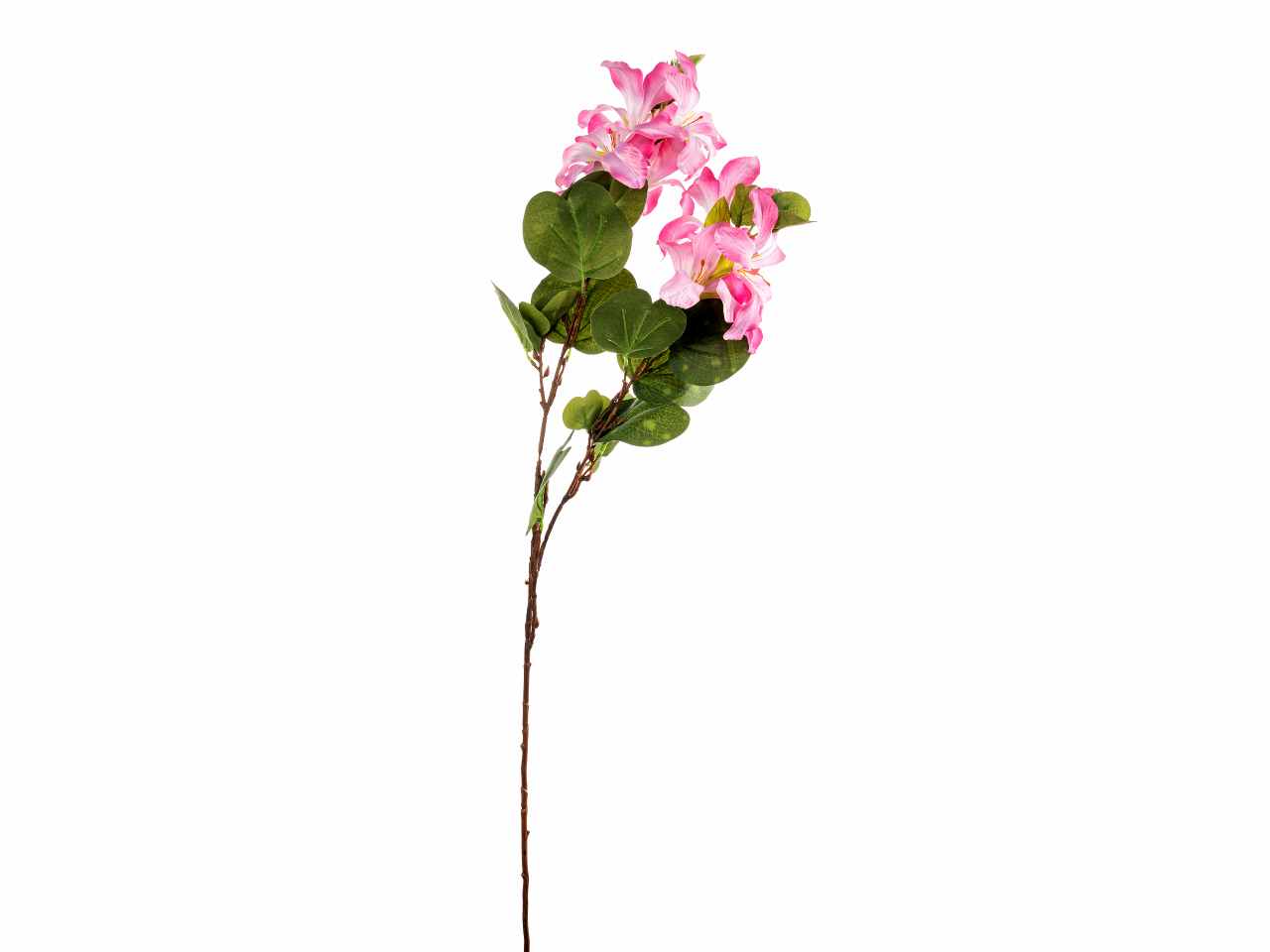 TRALCIO BAUHINIA 90cm ROSA A26530