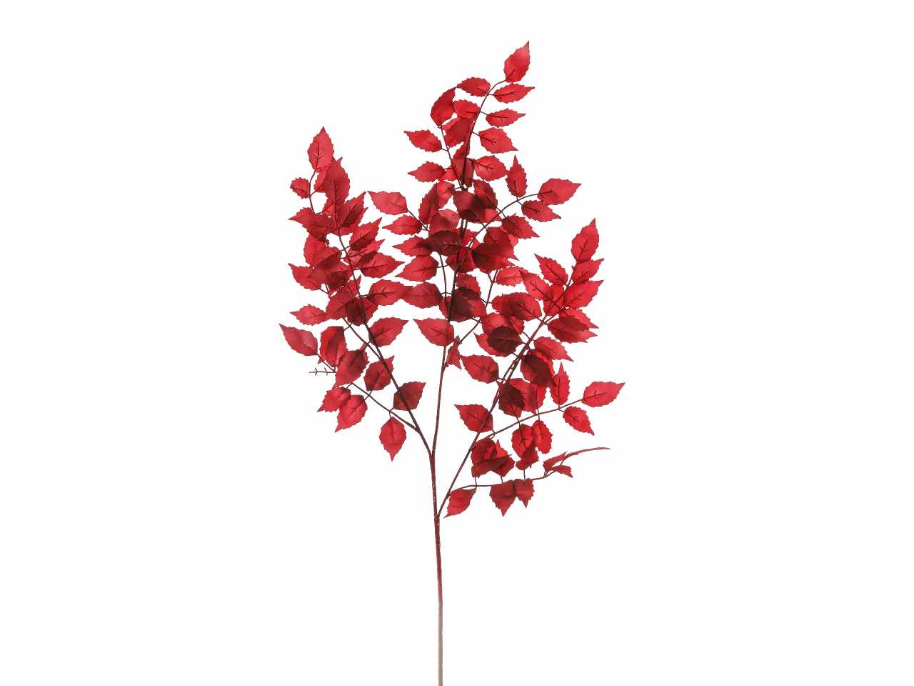 TRALCIO FOGLIE BIGNONIA CM.95 A27461_02