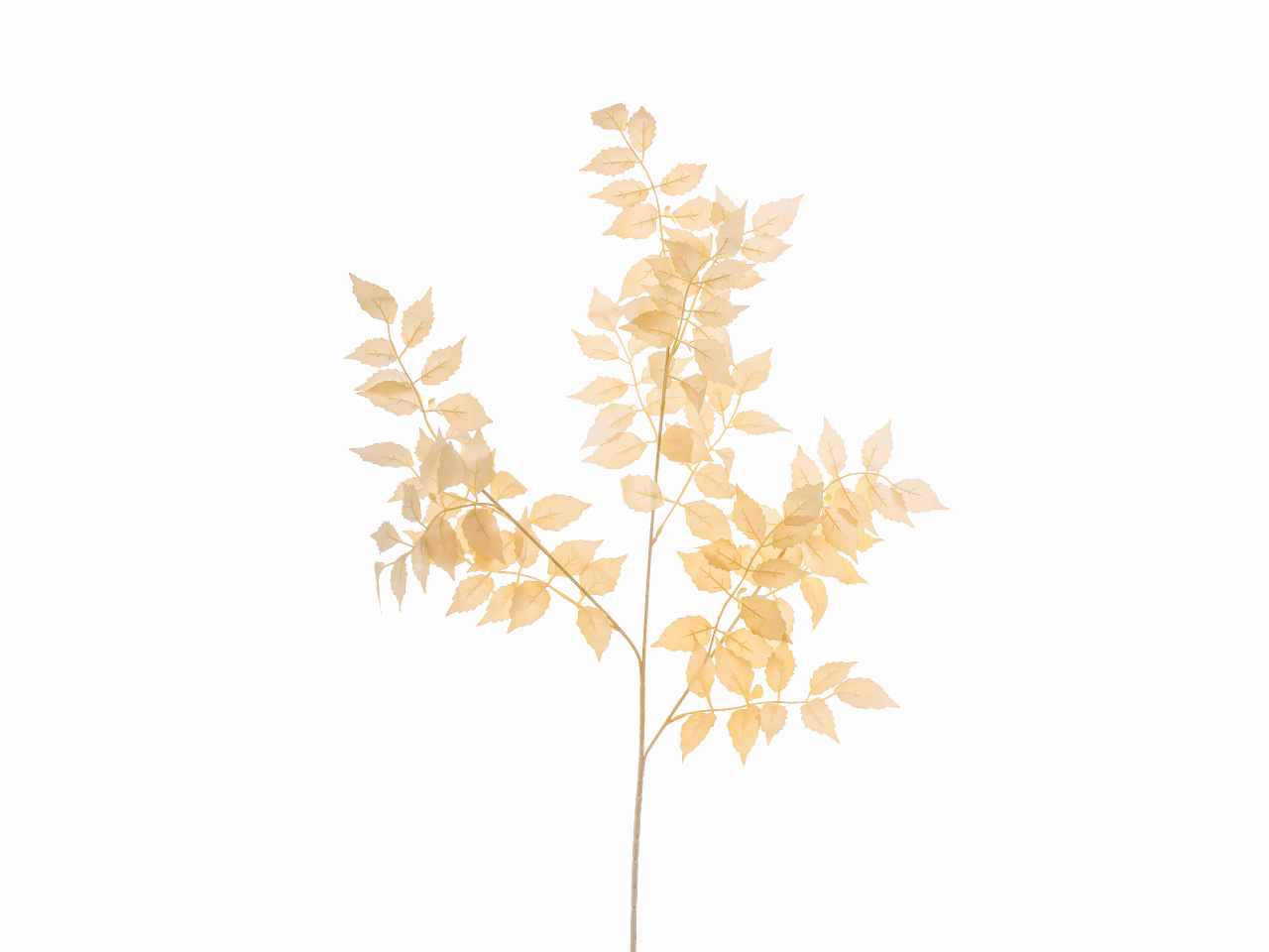 TRALCIO FOGLIE BIGNONIA CM.95 A27461_26