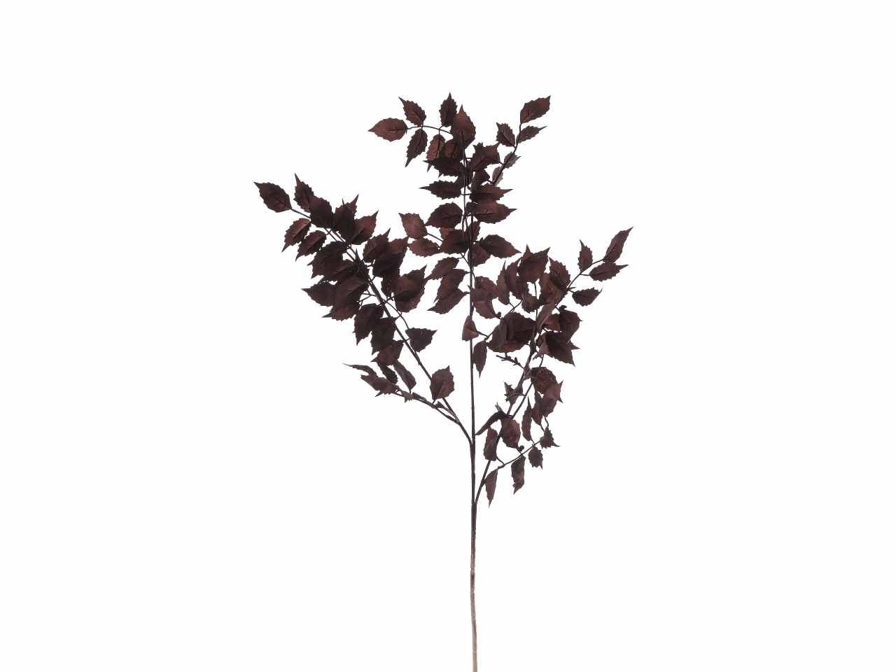 TRALCIO FOGLIE BIGNONIA CM.95 A27461_30