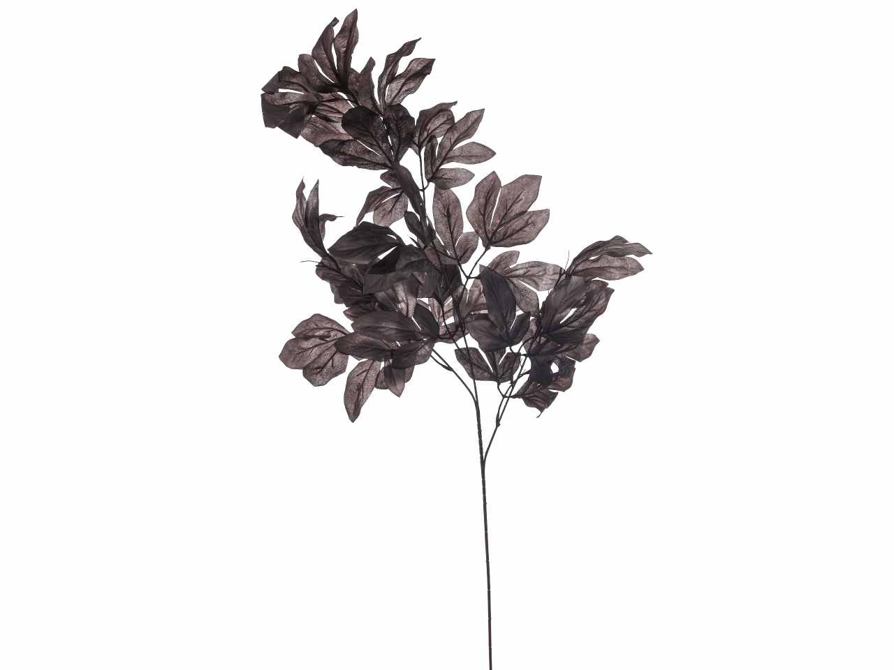 TRALCIO FOGLIE CM.95 MARRONE A27468_30