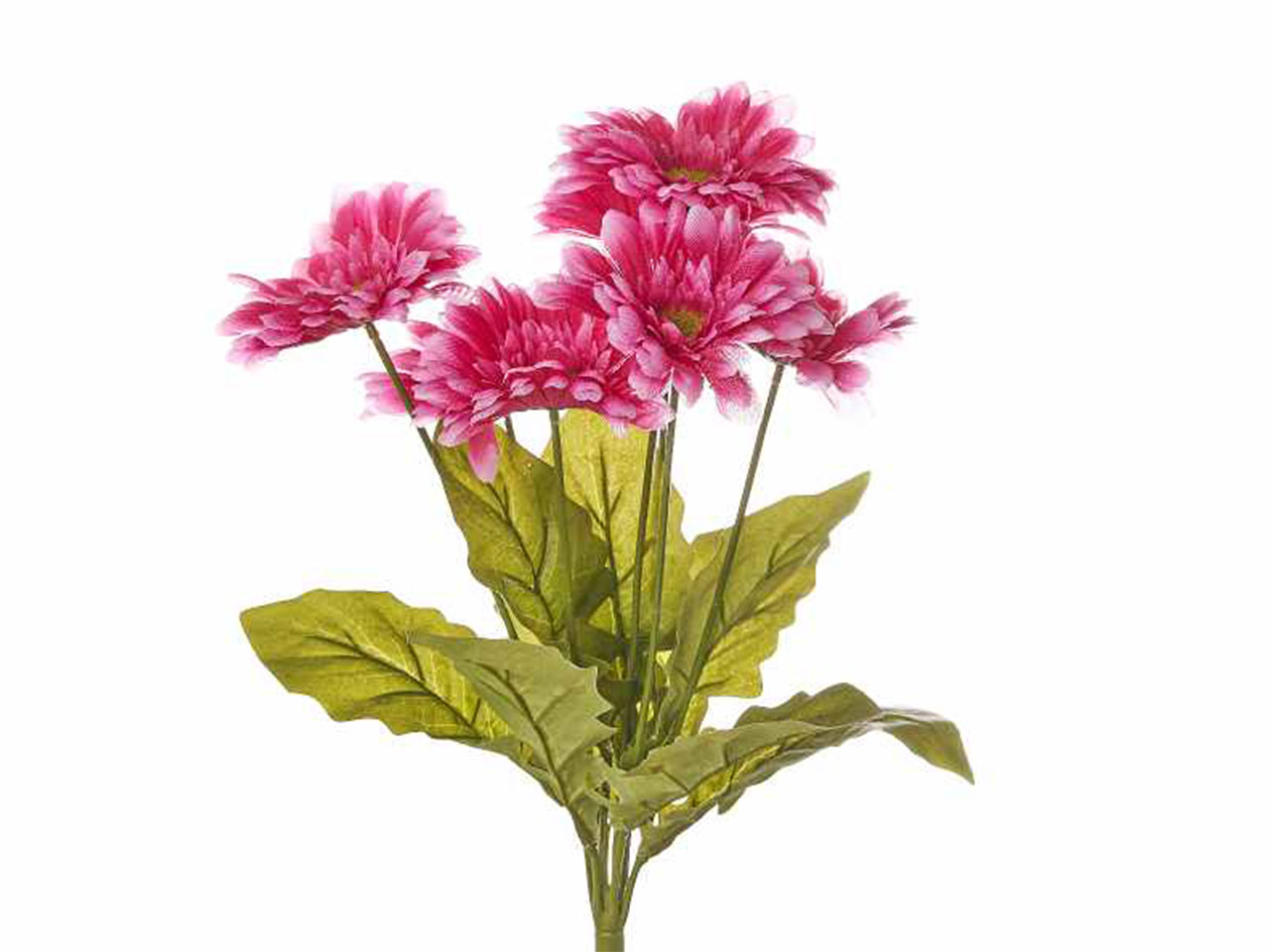 MAZZO DI GERBERE COLORE FUCSI A30009_29