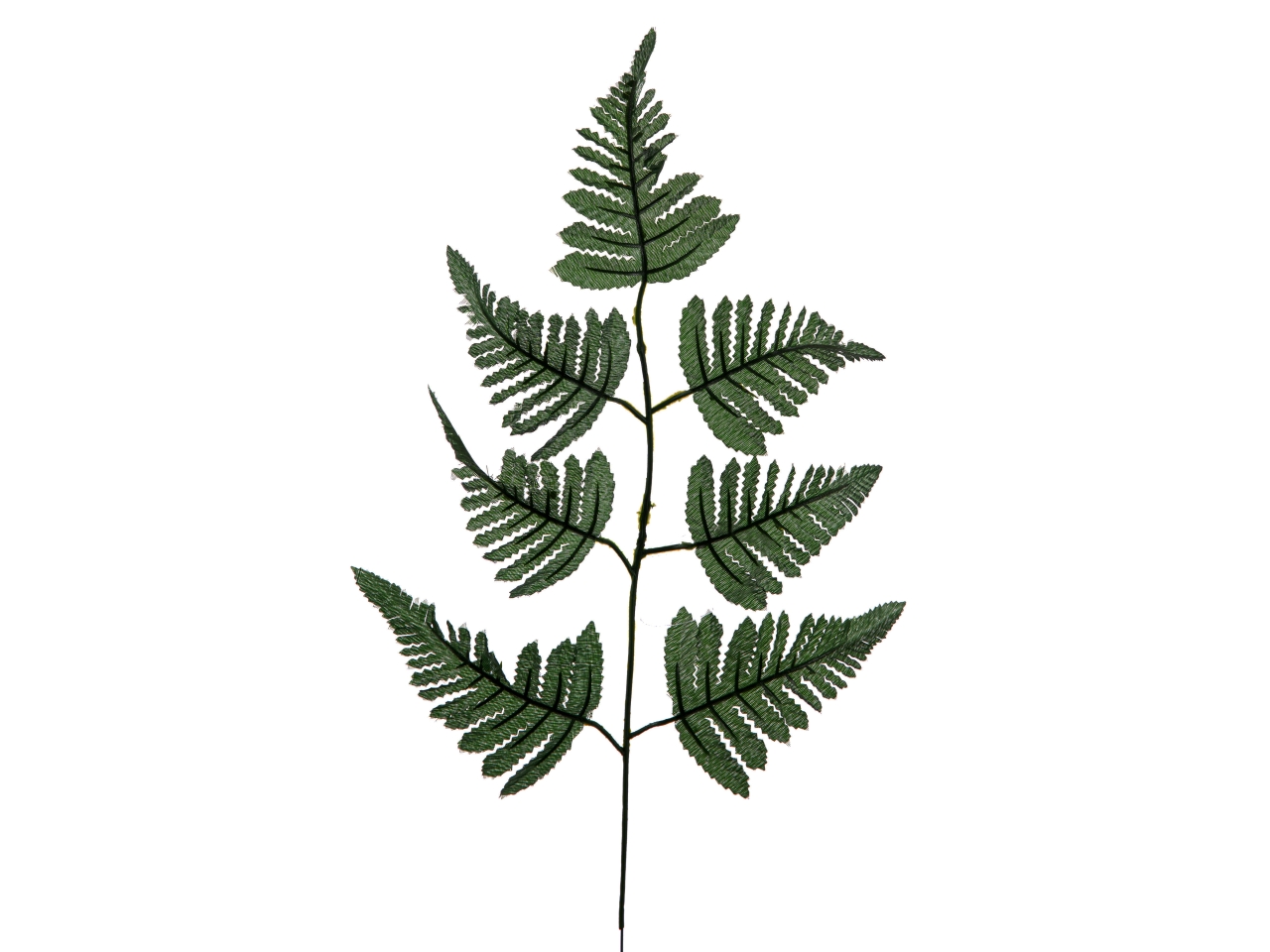 FOGLIA DI FELCE MISURA 60CM A10083