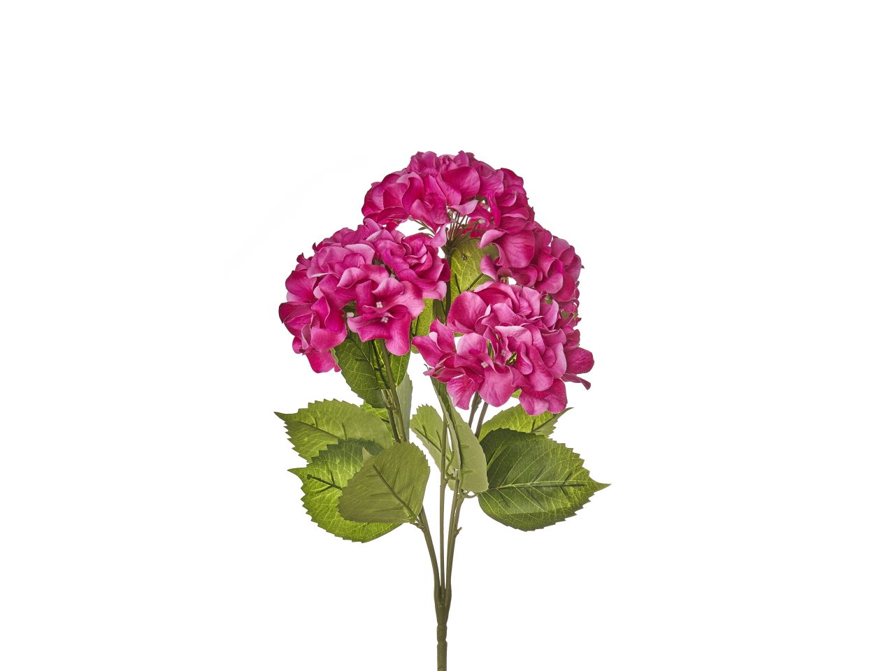 MAZZO ORTENSIE X5 50CM BEAUTY A30010