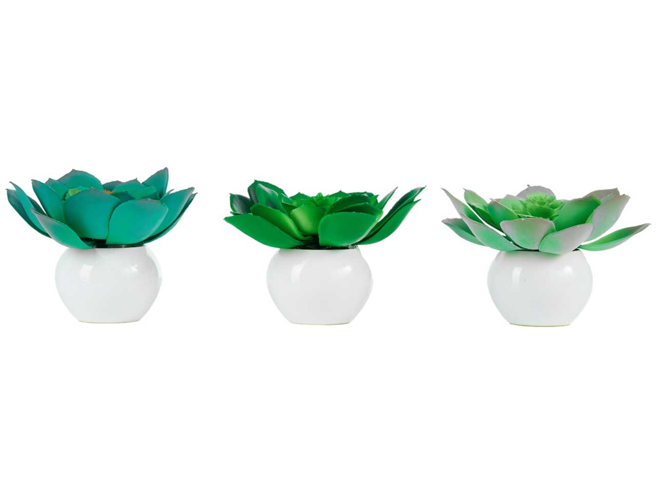 AEONIUM IN VASO DI CERAMICA 12CM A24840