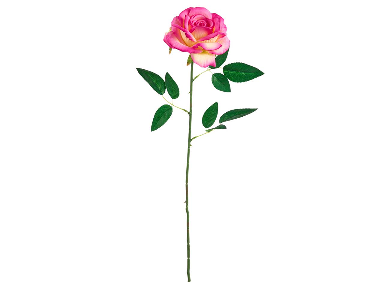 FIORE ROSA LIVIA H.60CM VIOLA CH A20739