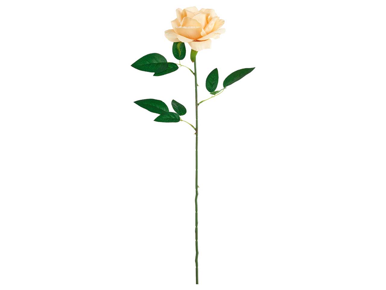 FIORE ROSA LIVIA H.60CM AVORIO A20739