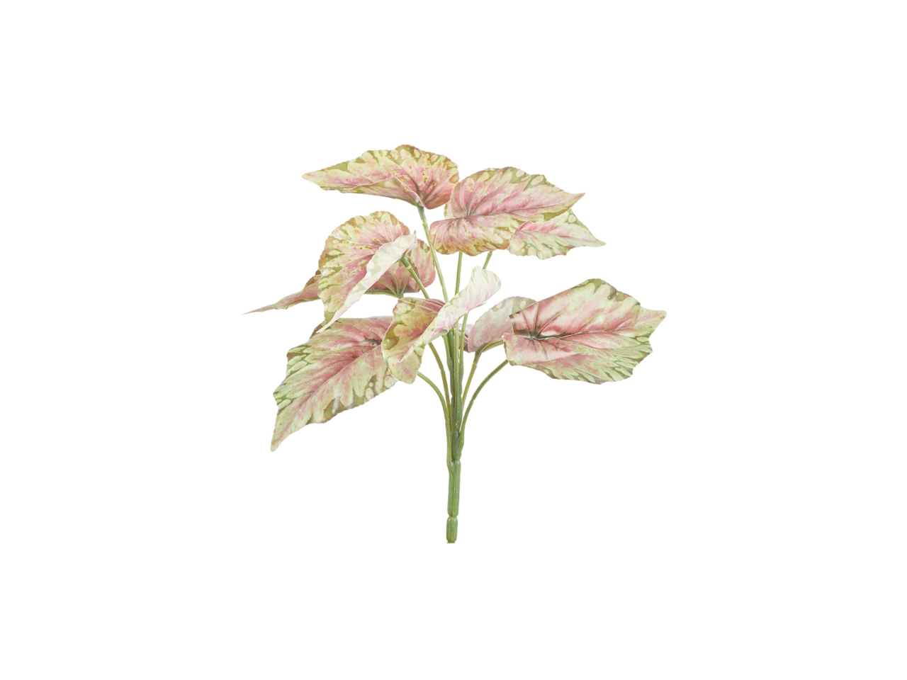 CIUFFO CALADIUM X 9 MISURA 27CM A20335