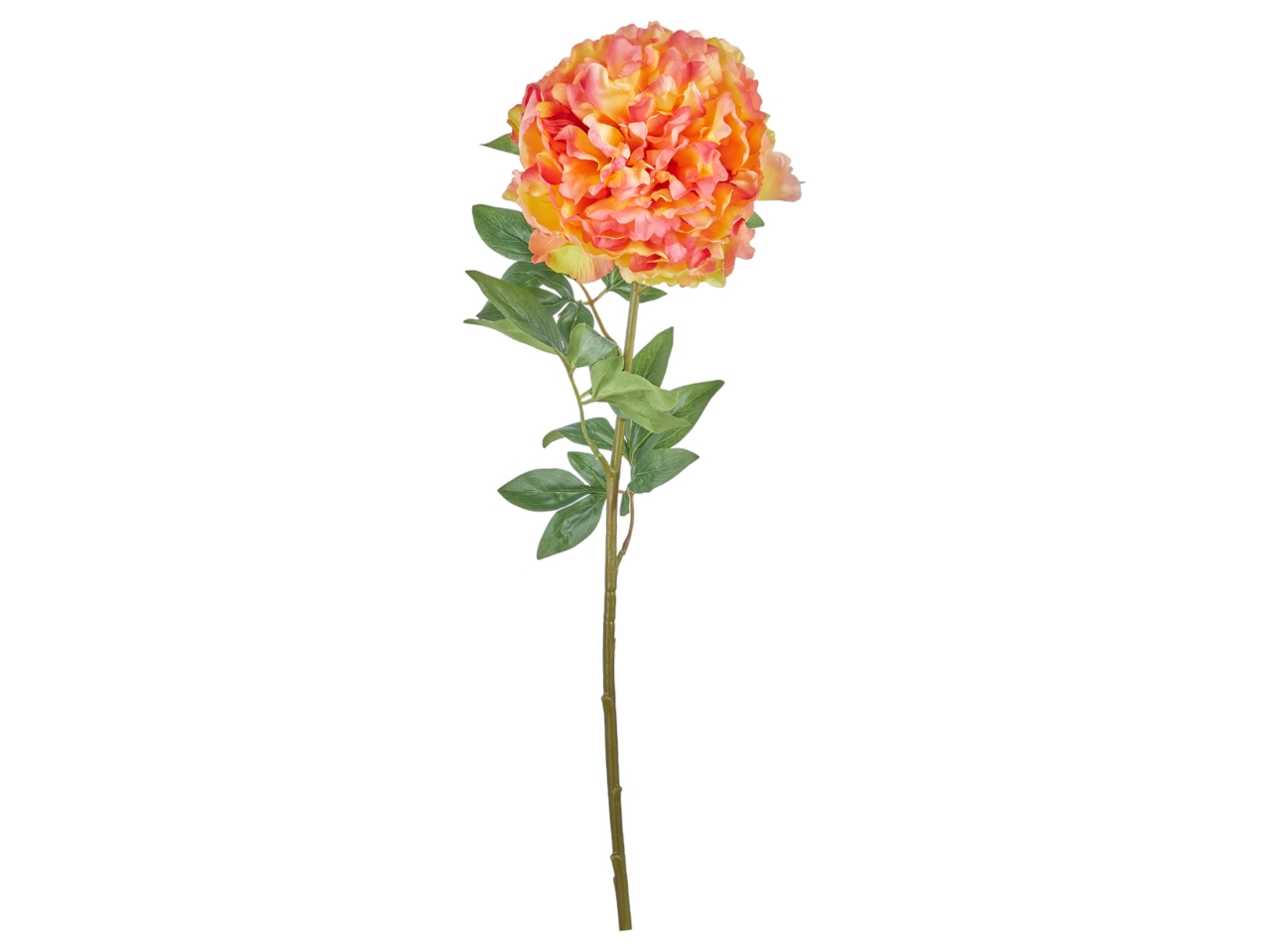 FIORE PEONIA NAT TOU 70CM ARAN A22693