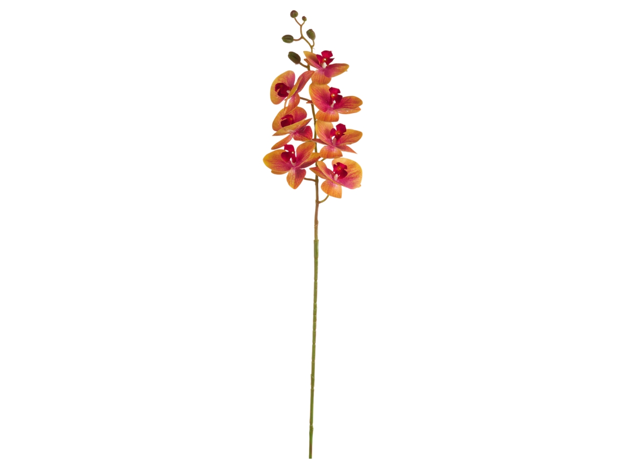 FIORE PHALAENOPSIS NAT 105CM PES A20687