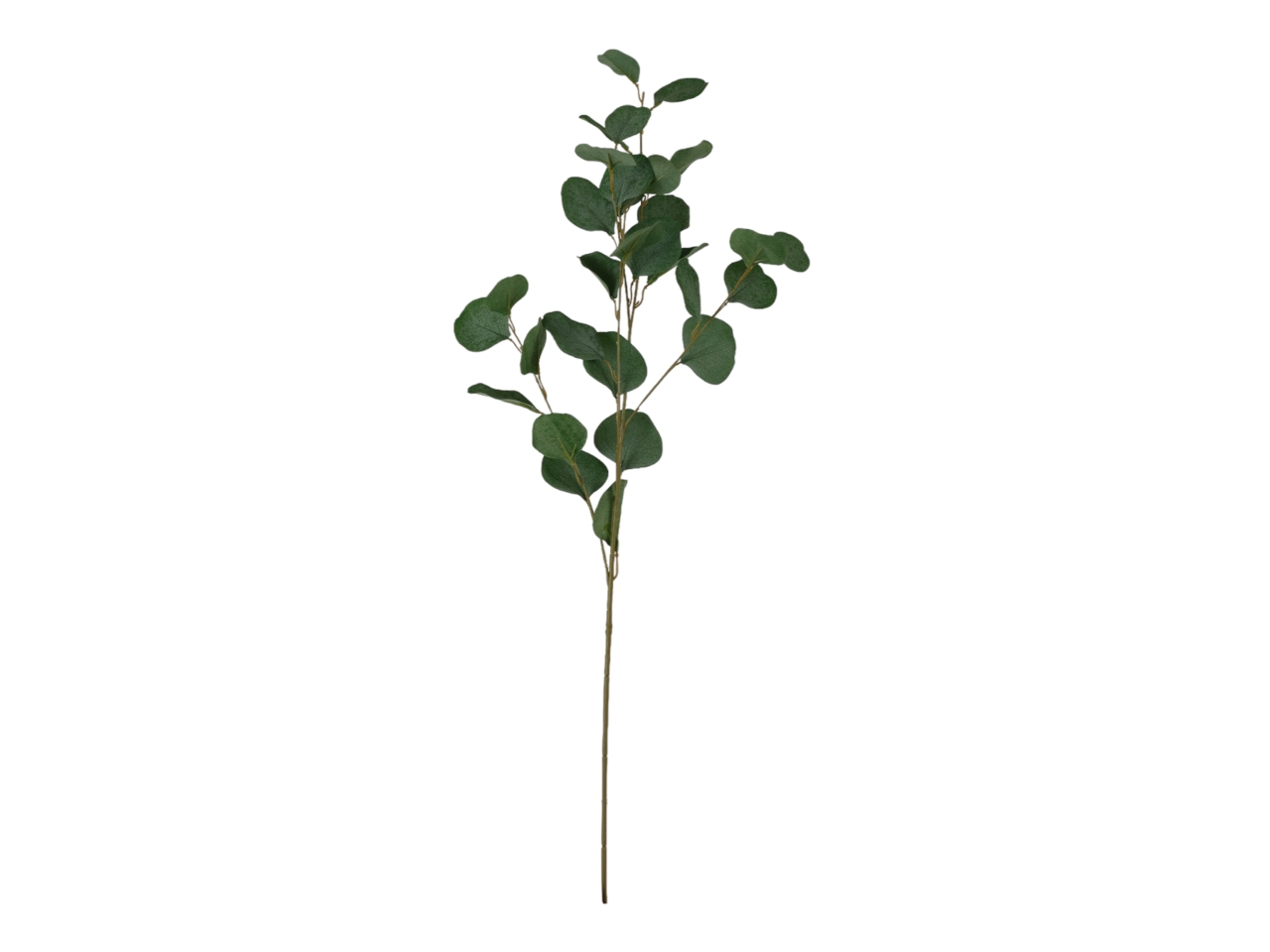 EUCALYPTO H.90CM VERDE A24385_09