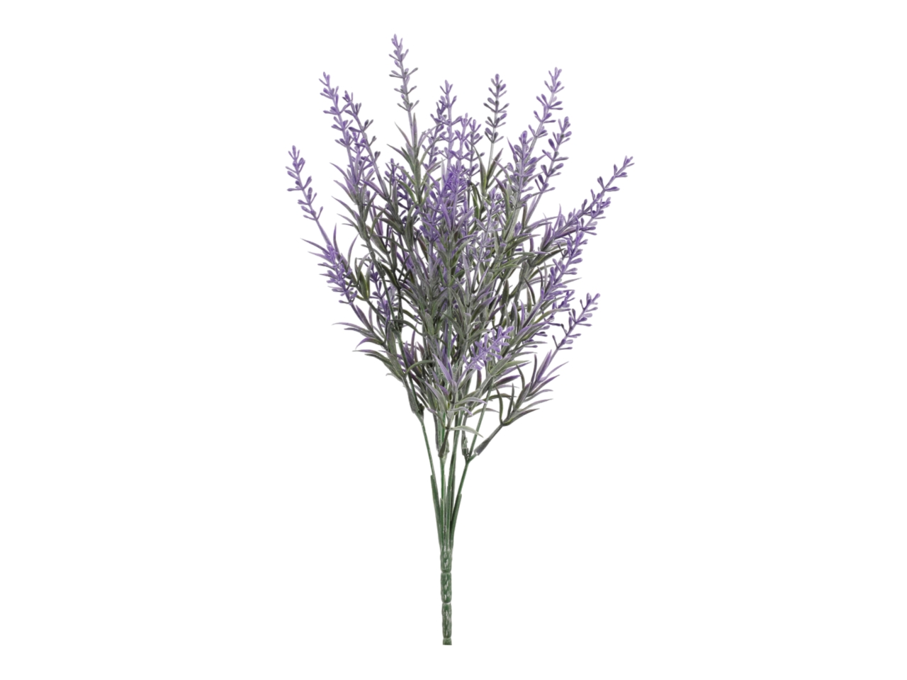 MAZZETTO LAVANDA 40CM A34453 MAZZETTO LAVANDA 40CM A34453