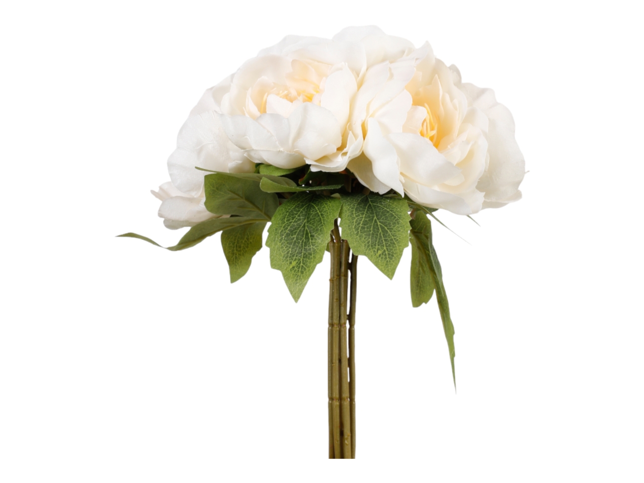 MAZZO PEONIE 28CM CREMA A34482_08