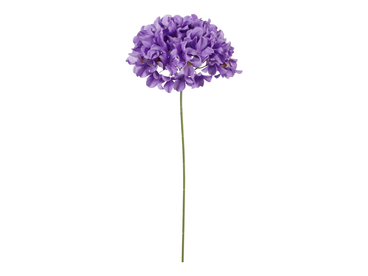 ORTENSIA SINGOLA 76CM VIOLA A34495_13 ORTENSIA SINGOLA 76CM VIOLA A34495_13