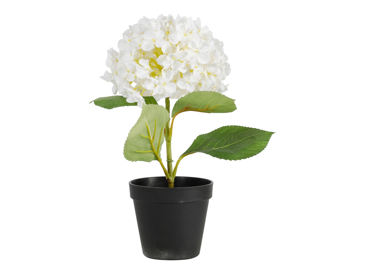 PIANTA ORTENSIA 34CM BIANCO A34644_03 PIANTA ORTENSIA 34CM BIANCO A34644_03