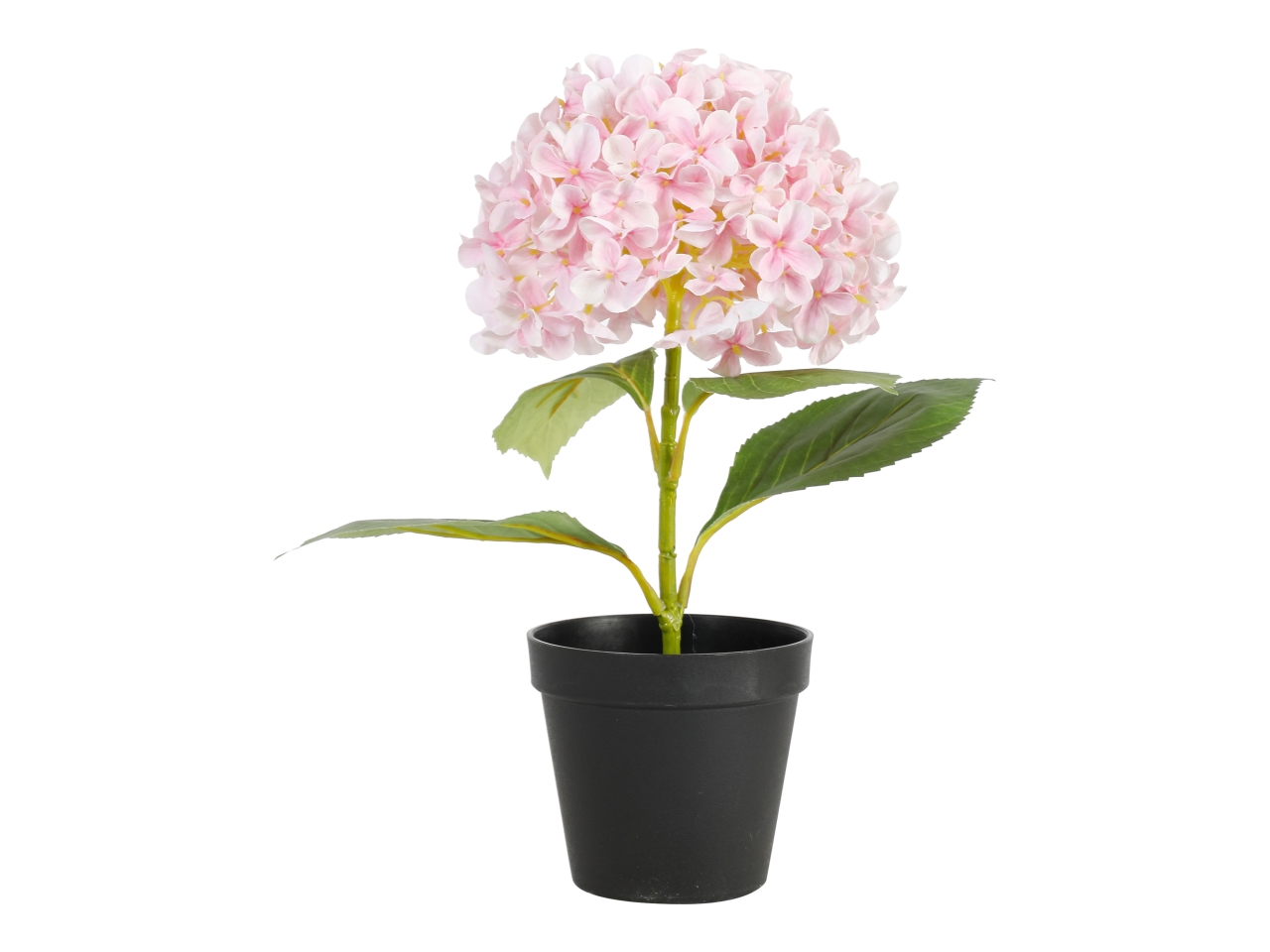 PIANTA ORTENSIA 34CM ROSA A34644_04 PIANTA ORTENSIA 34CM ROSA A34644_04