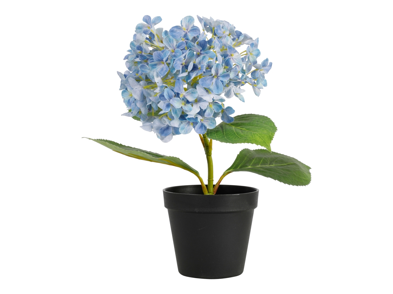 PIANTA ORTENSIA 34CM BLU A34644_09 PIANTA ORTENSIA 34CM BLU A34644_09