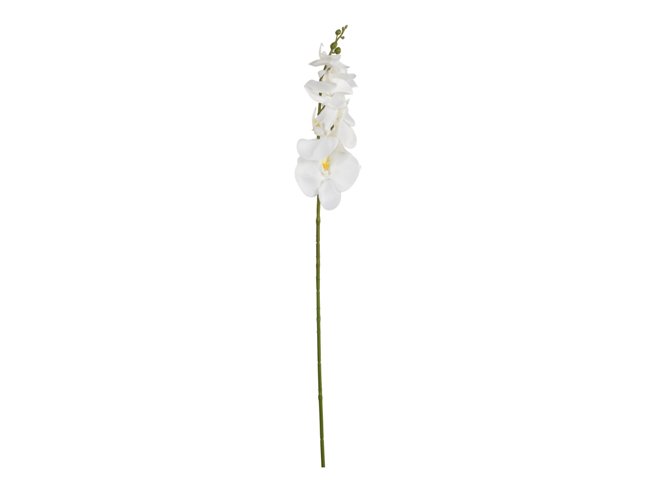 RAMO PHALAENOPSIS 85CM BIANCO A34648_03 RAMO PHALAENOPSIS 85CM BIANCO A34648_03