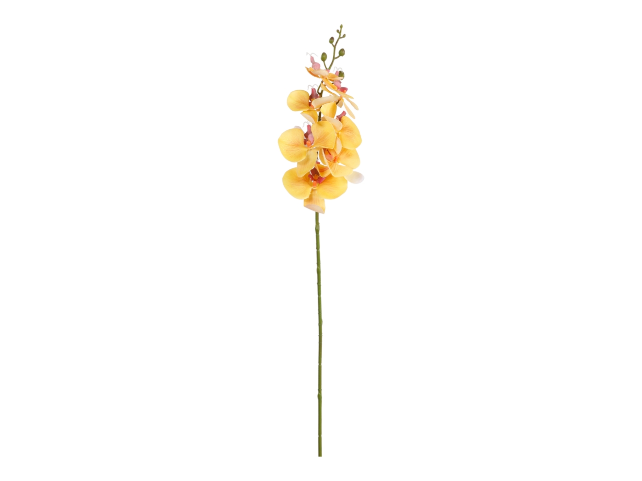 RAMO PHALAENOPSIS 85CM GIALLO A34648_06 RAMO PHALAENOPSIS 85CM GIALLO A34648_06