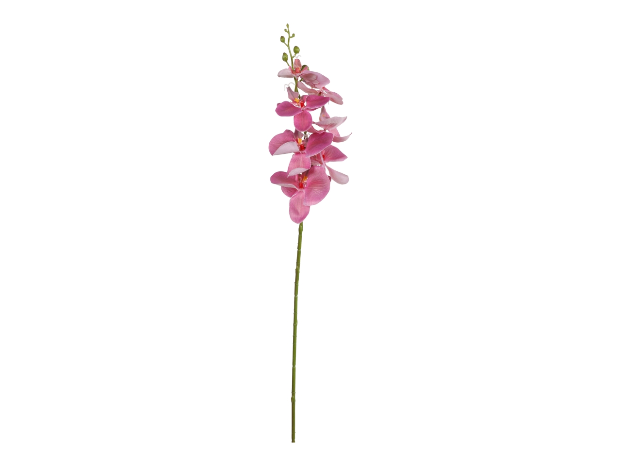 RAMO PHALAENOPSIS 85CM BEAUTY A34648_15 RAMO PHALAENOPSIS 85CM BEAUTY A34648_15