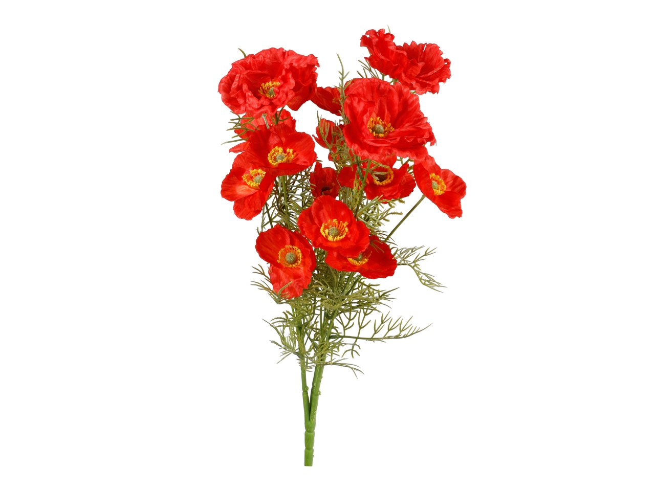 MAZZO PAPAVERI ROSSI X 15 A34692_02