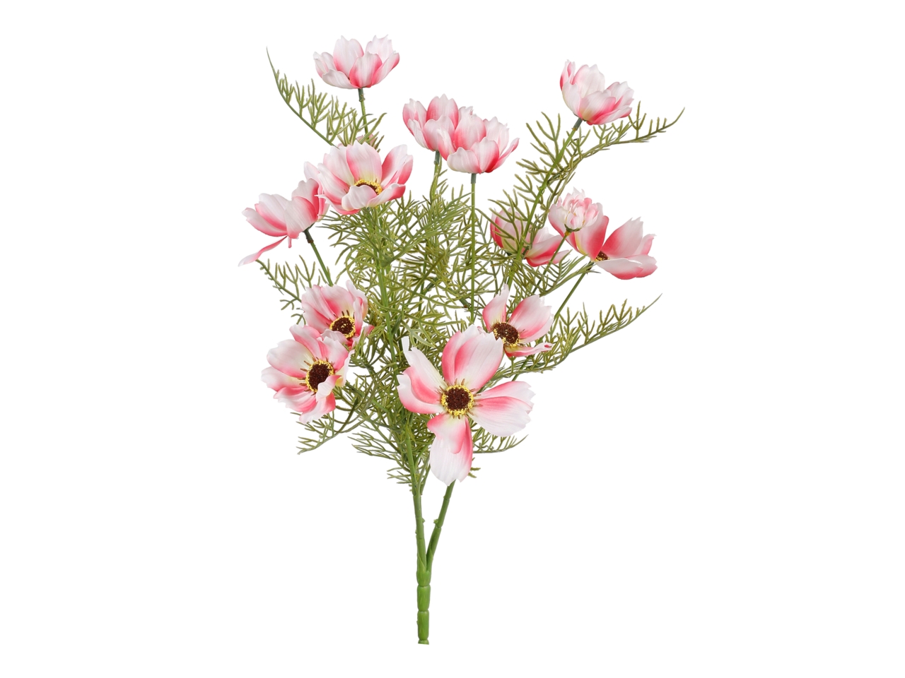 MAZZO COSMOS ROSA X 15 A34693_02