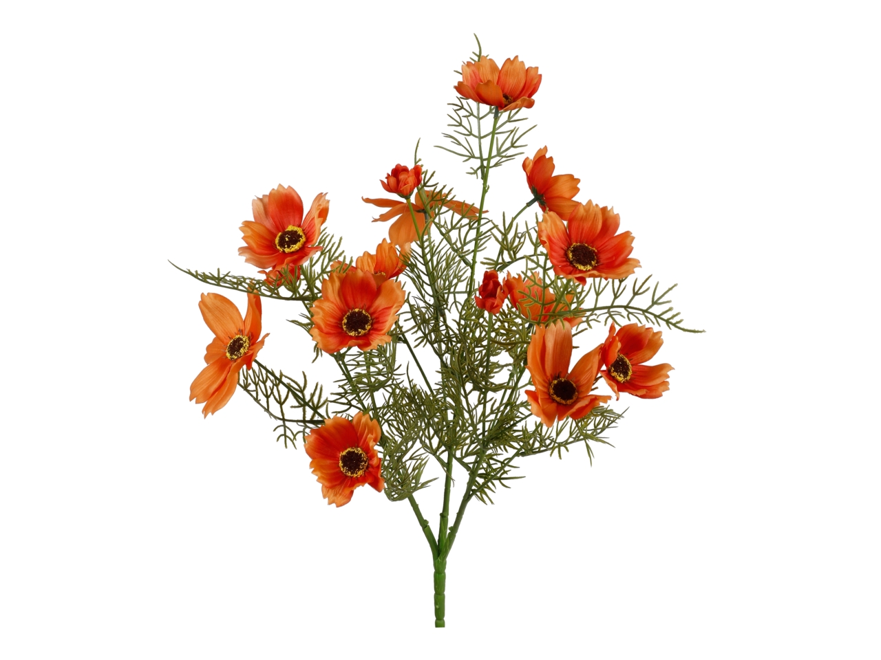 MAZZO COSMOS ARANCIONE X 15 A34693_05