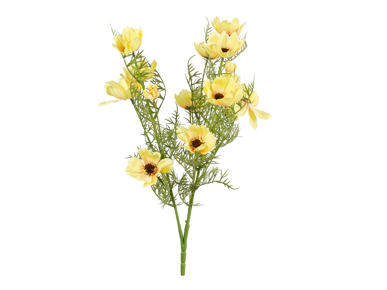 MAZZO COSMOS GIALLO X 15 A34693_06