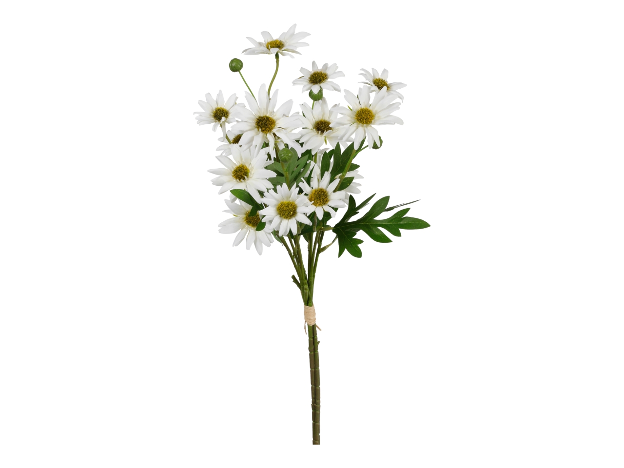 MAZZO ASTRO BIANCO X 3 A34696_03