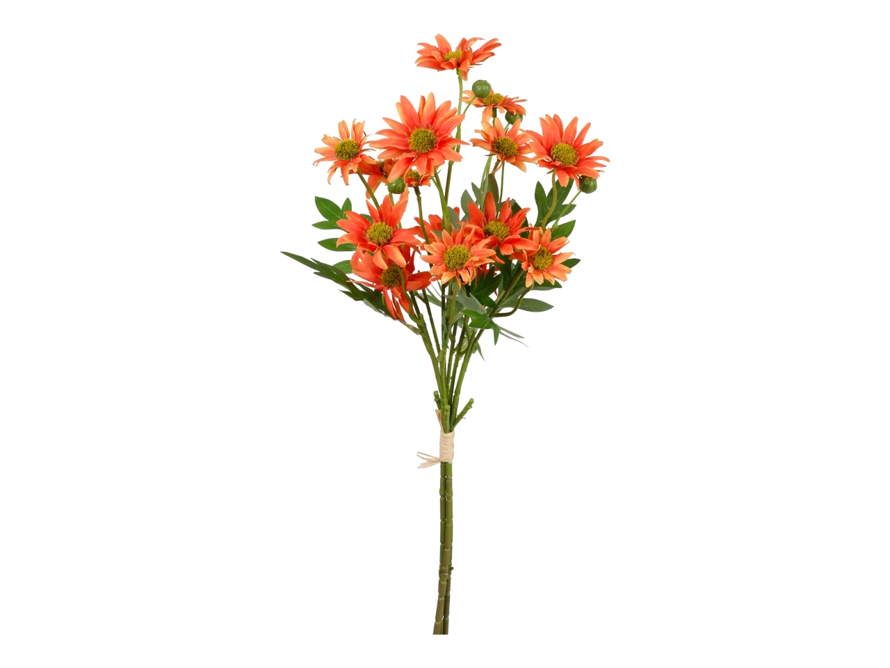 MAZZO ASTRO ARANCIONE X 3 A34696_05