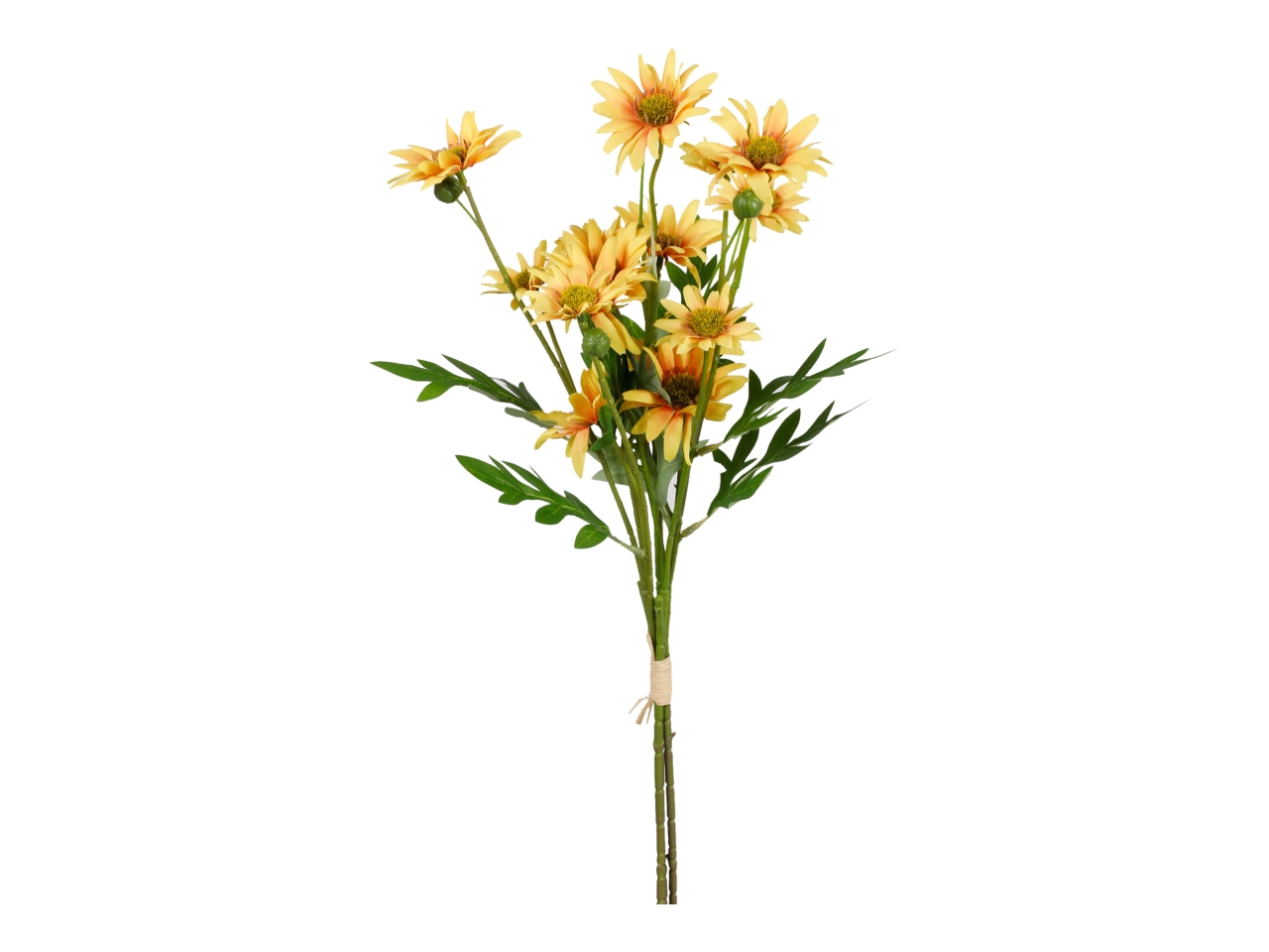 MAZZO ASTRO GIALLOX 3 A34696_06