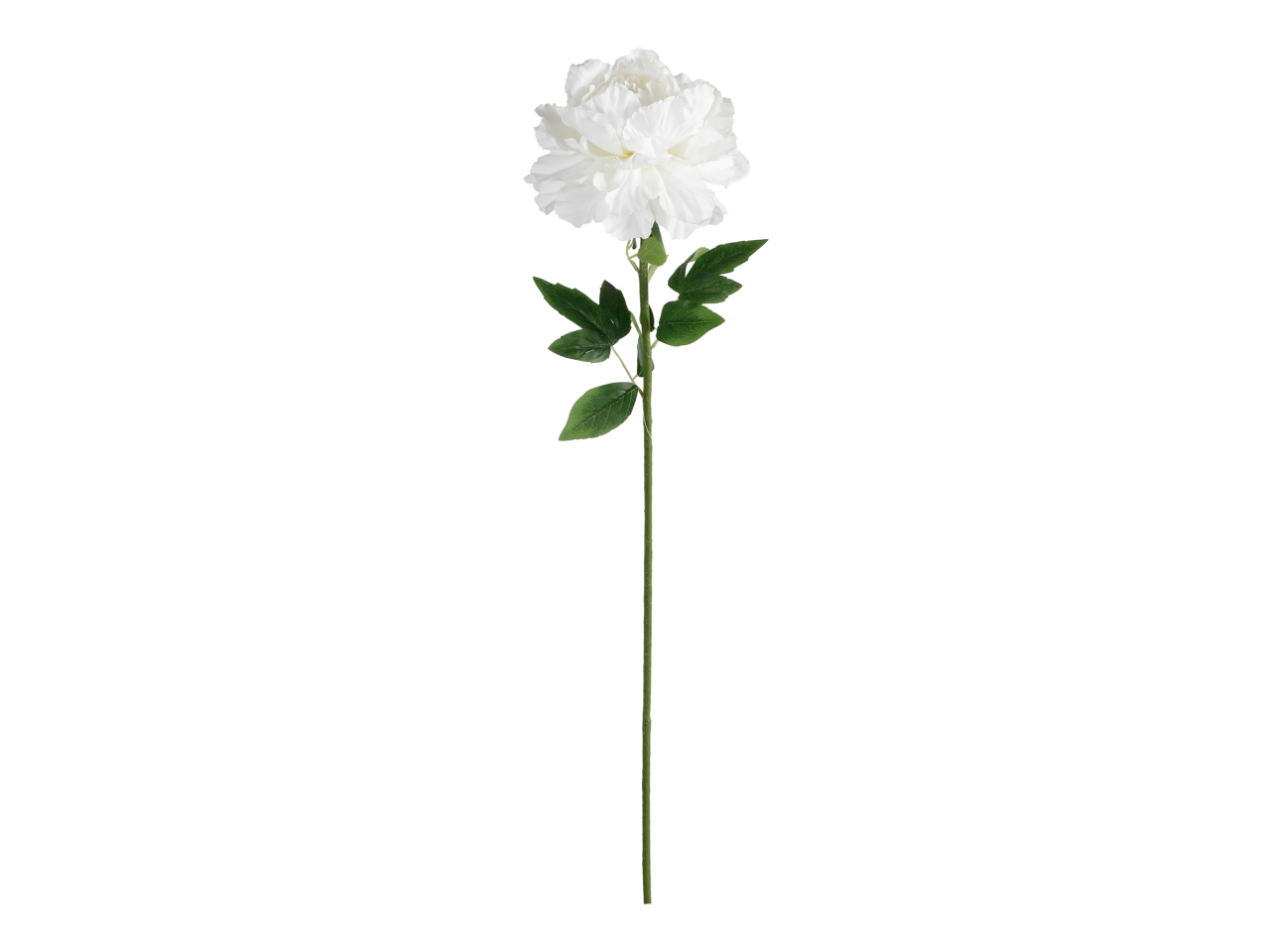 PEONIA SINGOLA 100CM BIANCO A34861_03