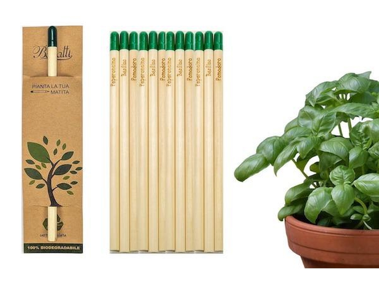 MATITE CON SEMI ASSORTITE MAT1007 MATITE CON SEMI ASSORTITE MAT1007