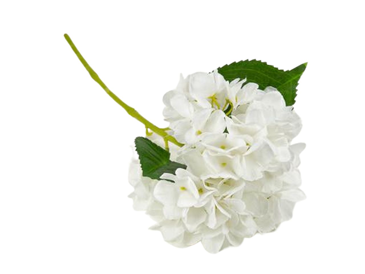 RAMO ORTENSIA 14X35HCM BIANCO FB2313 01