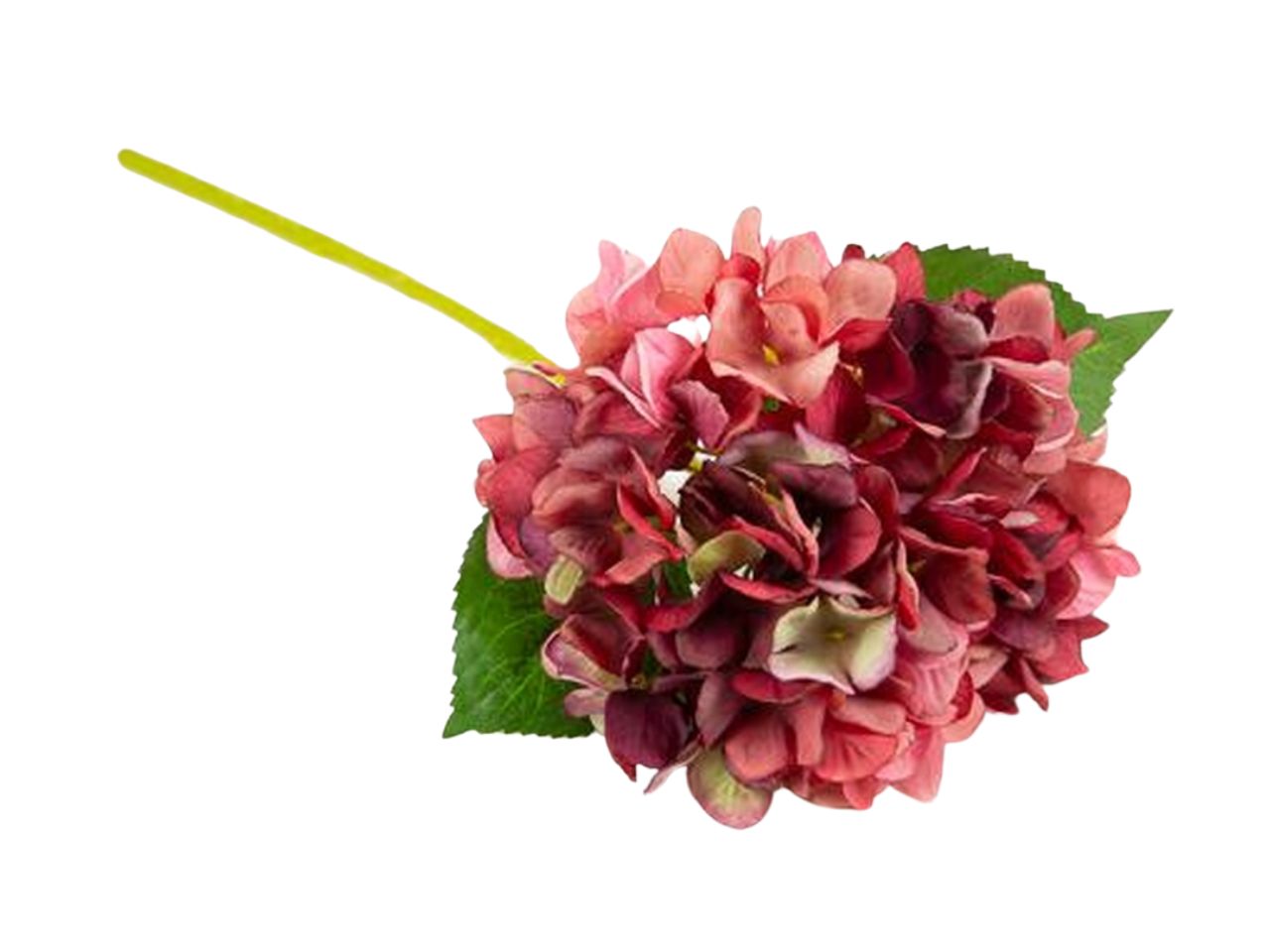 RAMO ORTENSIA 14X35HCM BORD. FB2313 13