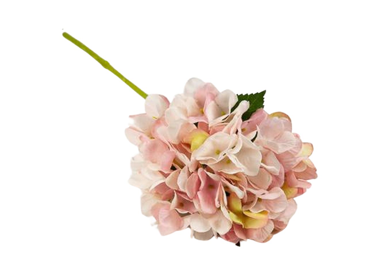 RAMO ORTENSIA 14X35HCM ROSA FB2313 169