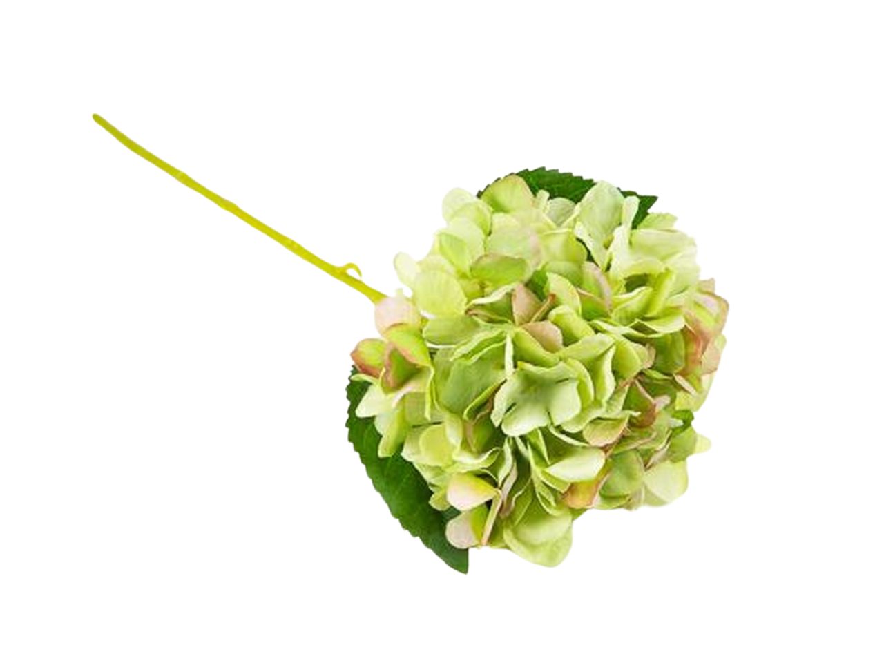 RAMO ORTENSIA 14X35HCM VERDE FB2313 30